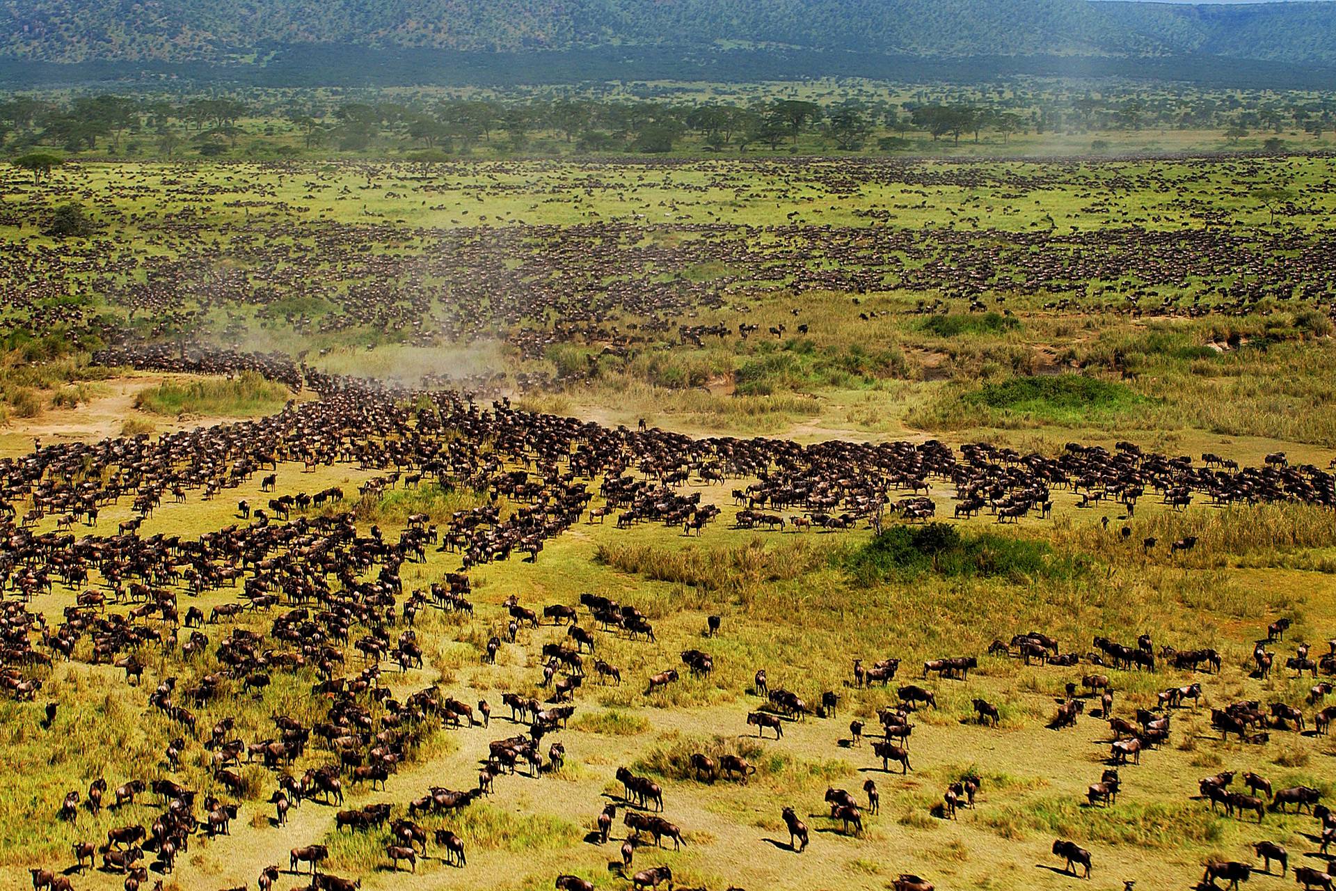 Serengeti National Park