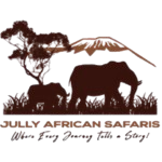 Jully African Safaris – Your Gateway to Adventure