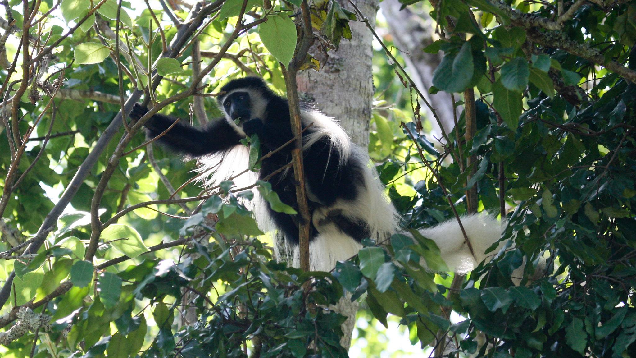 Tarangire National Park
