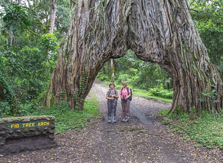 Arusha National Park