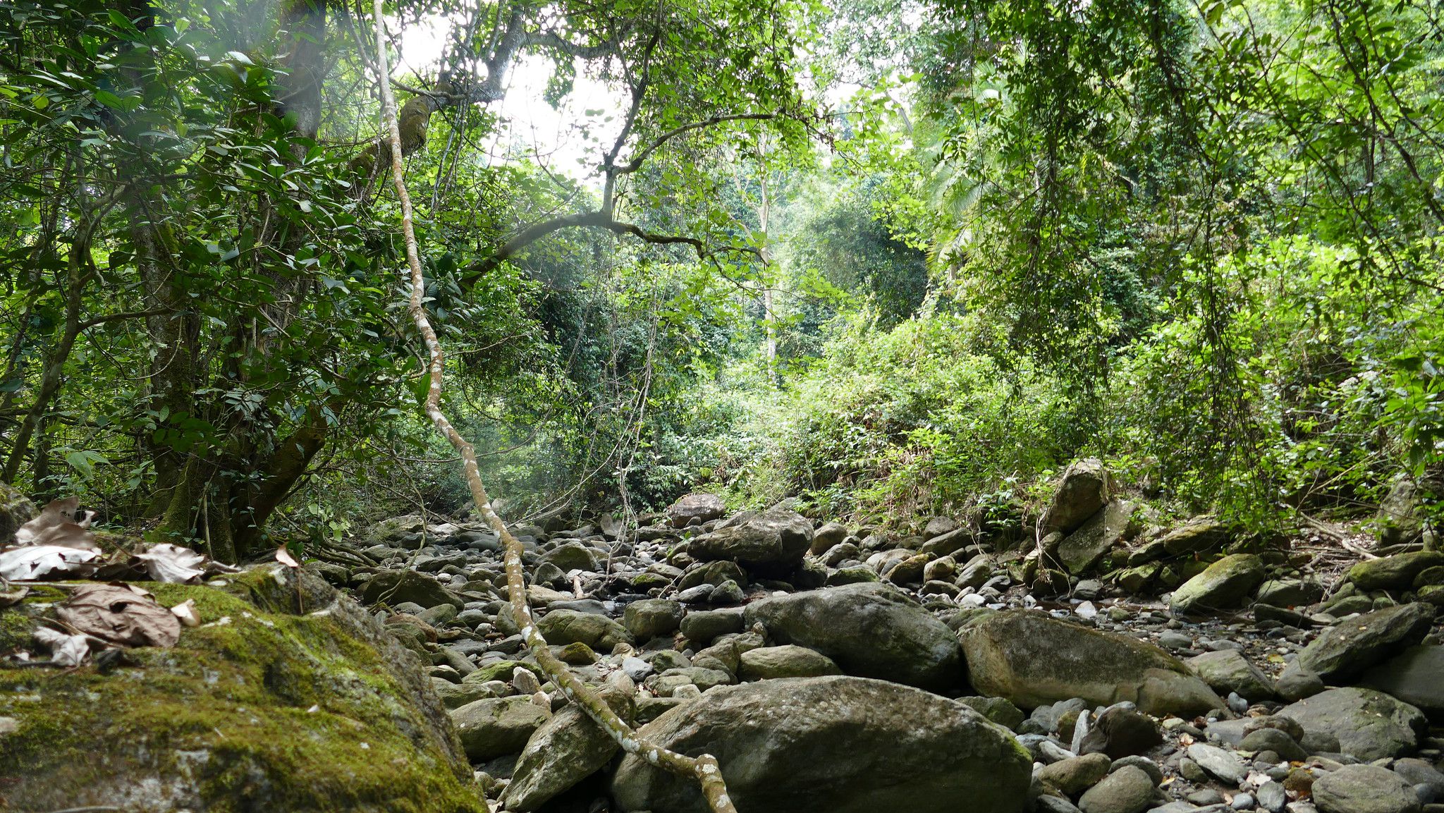 Mahale Mountains National Park