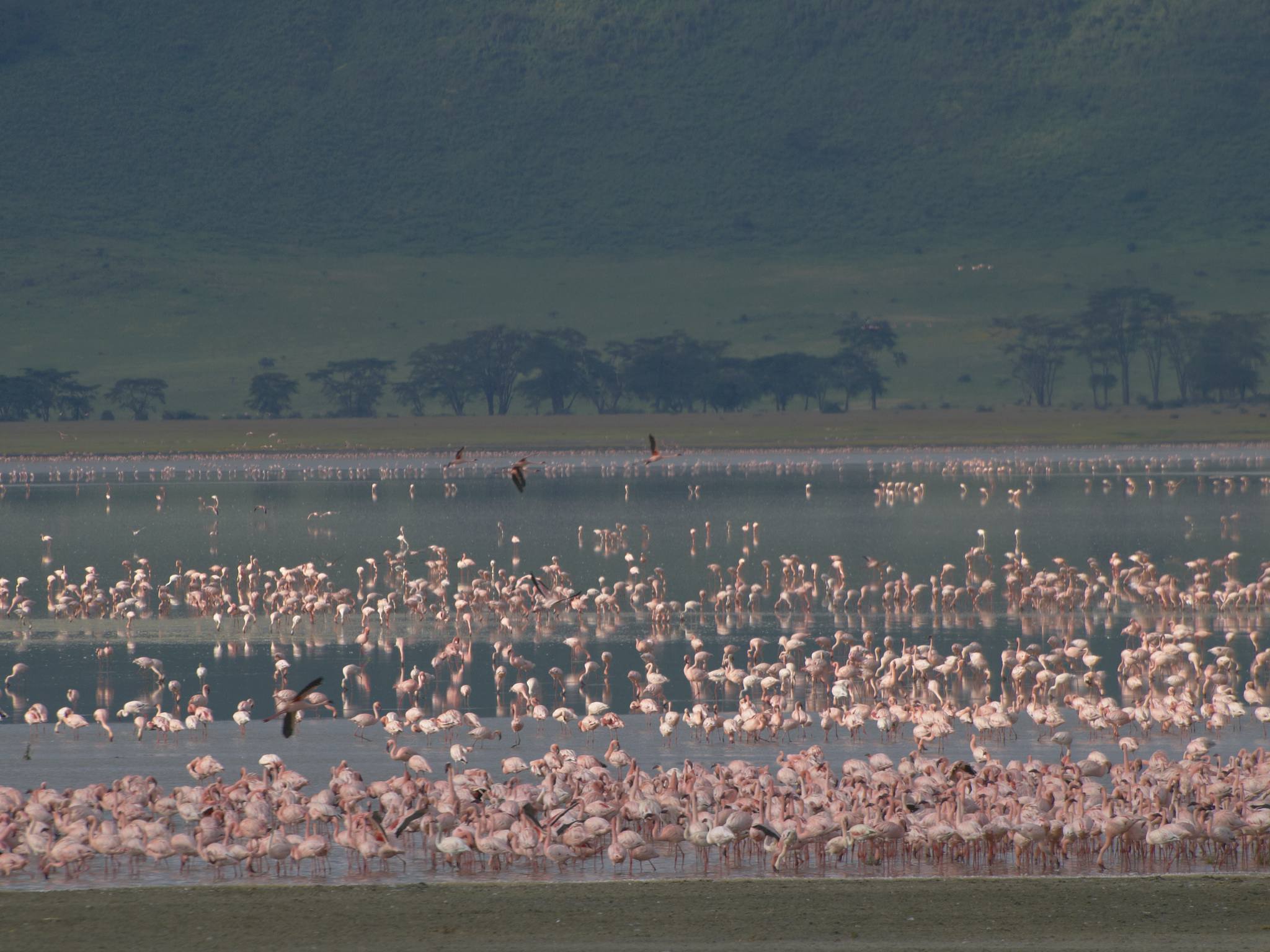 Ngorongoro Crater