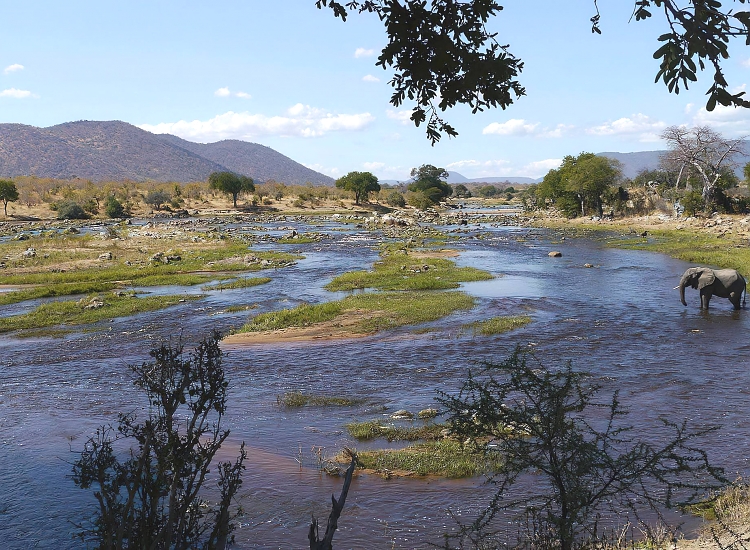 Ruaha National Park