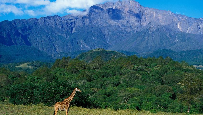 Arusha National Park