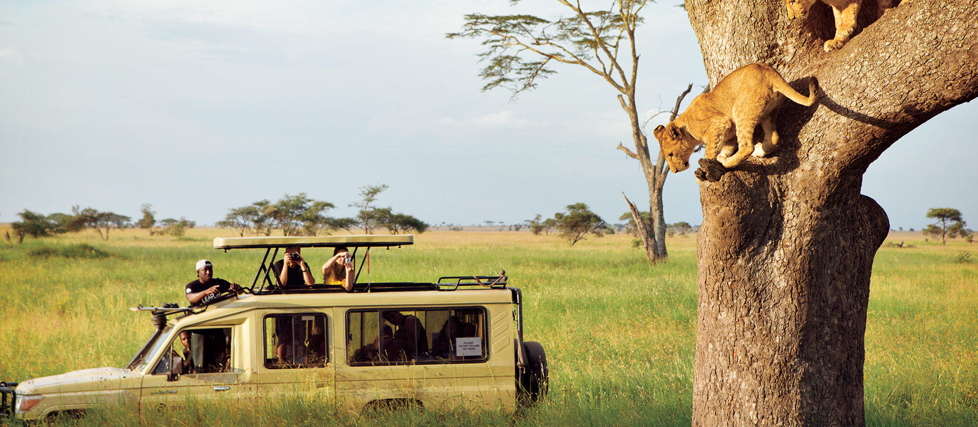 Is Tanzania Safe to Travel? Everything You Need to Know
