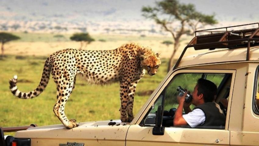 Tanzania Safari – Tips and Insights